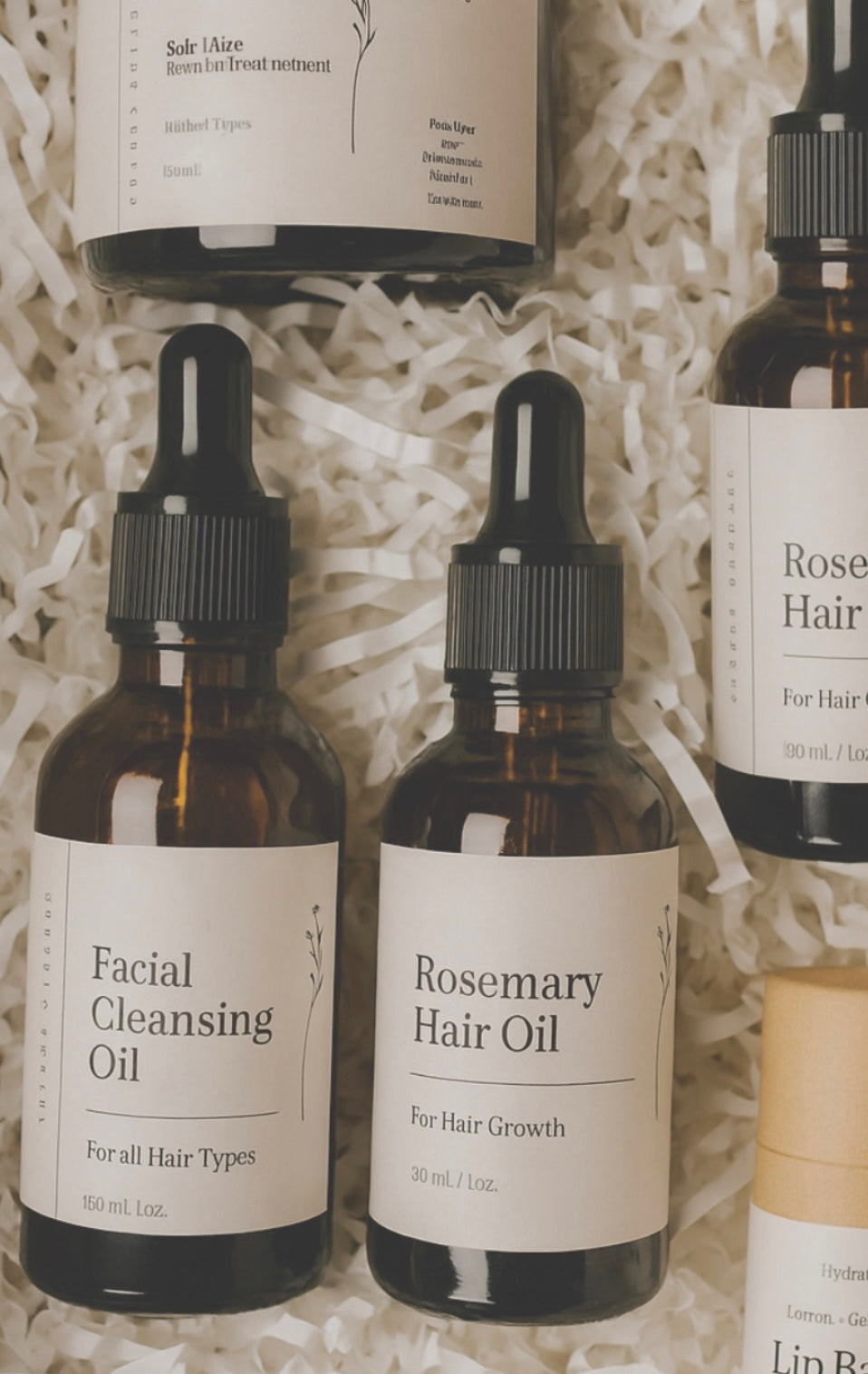 𝐂𝐨𝐥𝐥𝐞𝐜𝐭𝐢𝐨𝐧 𝐁𝐨𝐱